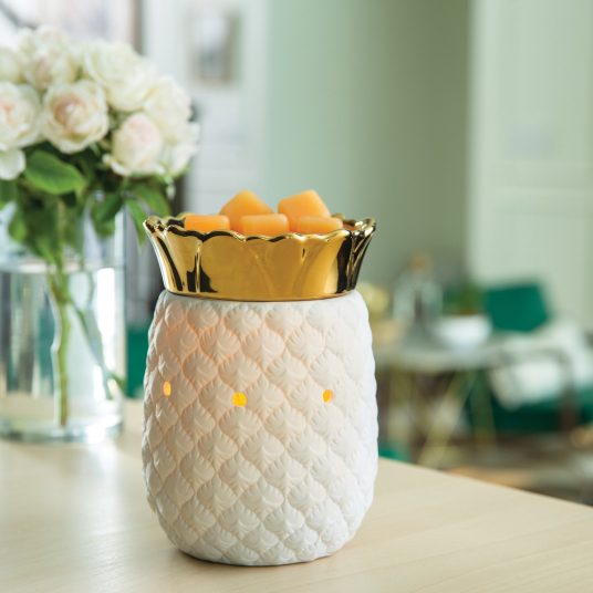 Pineapple Wax Melter