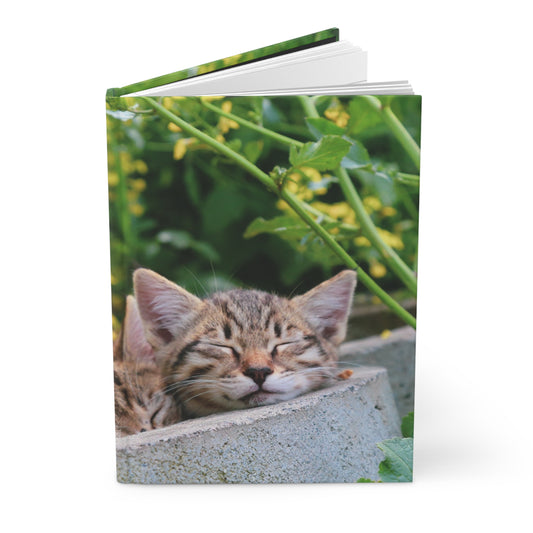 Cozy Cat Dreams Hardcover Journal - Perfect for Cat Lovers and Nature Enthusiasts