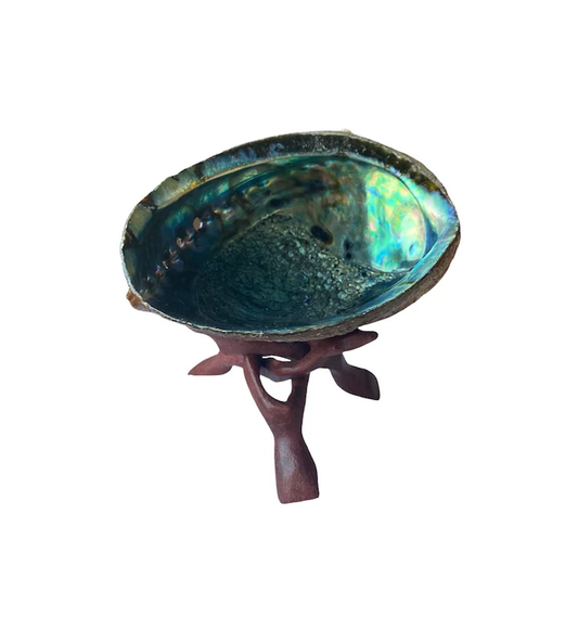 Abalone Shell W/ Wooden Stand