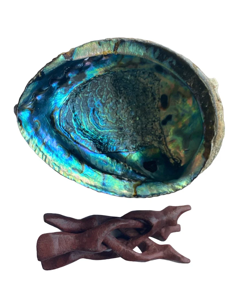 Abalone Shell W/ Wooden Stand
